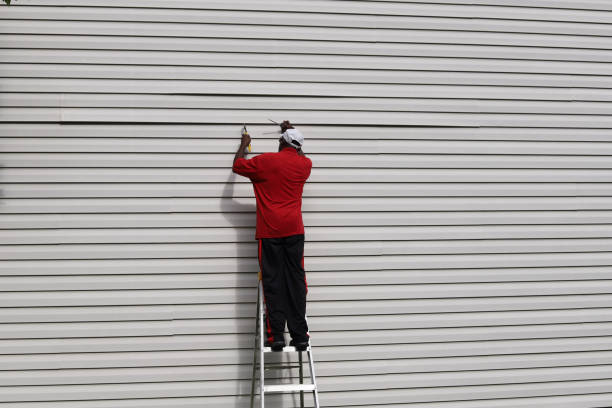 Best Brick Veneer Siding  in Tahoe Vista, CA