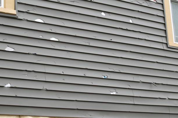 Best Wood Siding Installation  in Tahoe Vista, CA