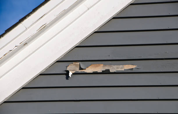 Siding for New Construction in Tahoe Vista, CA